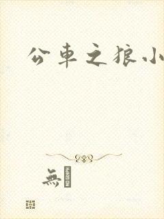 公车之狼小说