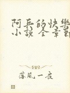 阿兵的快乐生活小说 全章节阅读免费