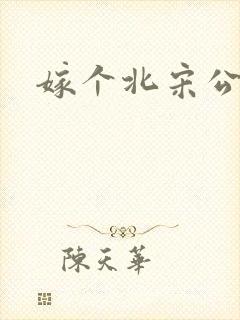 嫁个北宋公务员