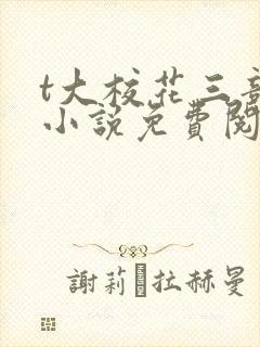t大校花三部曲小说免费阅读全文封面