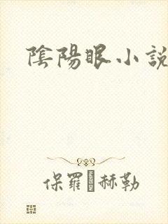 阴阳眼小说封面