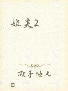 姐夫2