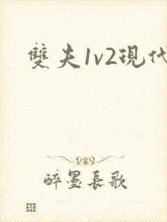 双夫1v2现代封面