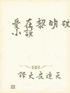 爱在黎明破晓前小说