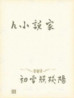 h小说家