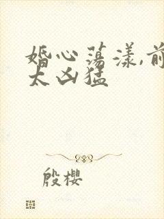 婚心荡漾,前夫太凶猛封面