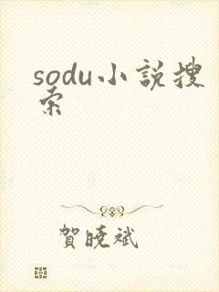 sodu小说搜索