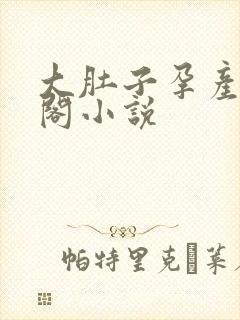大肚子孕产笔趣阁小说