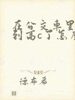 在公交车里c弄到高c了怎么办封面