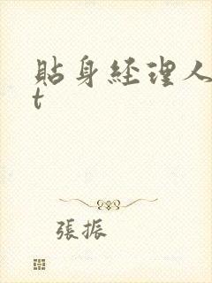 贴身经理人txt封面