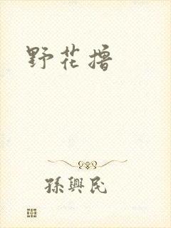 野花撸封面
