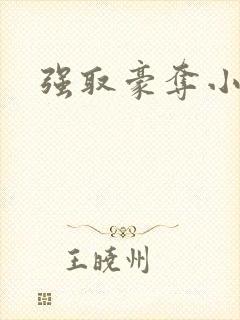 强取豪夺小说