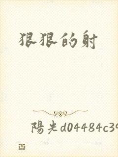 狠狠的射