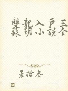 双龙入户三人行苏玥小说全文阅读封面