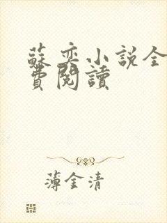 苏奕小说全文免费阅读封面
