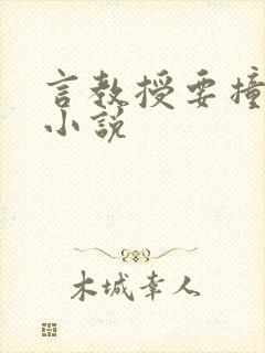 言教授要撞坏了小说