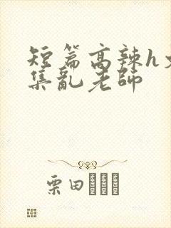短篇高辣h文合集乱老师封面