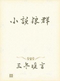 小说狼群封面