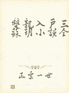 双龙入户三人行苏玥小说全文阅读