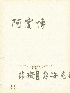 阿宾传封面