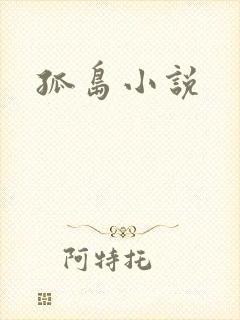 孤岛小说