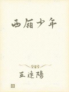 西厢少年封面