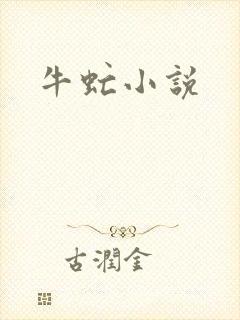 牛虻小说