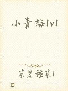 小青梅1v1