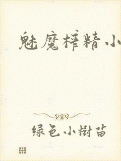 魅魔榨精小说封面