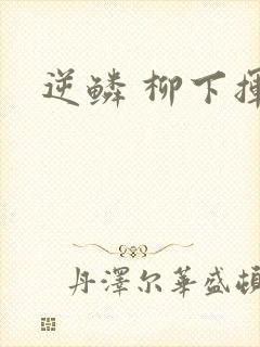 逆鳞 柳下挥封面