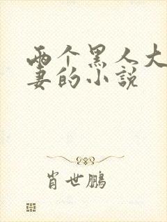 两个黑人大战娇妻的小说封面