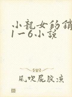 小龙女的销魂夜1一6小说