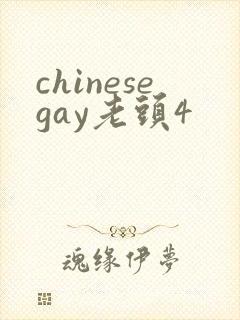 chinesegay老头4