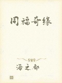 同福奇缘封面