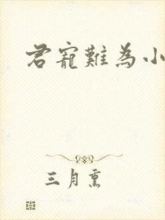 君宠难为小说封面
