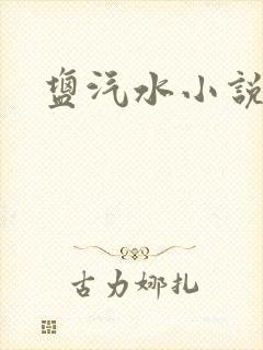 盐汽水小说