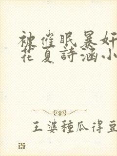 被催眠暴奸的校花夏诗涵小说封面