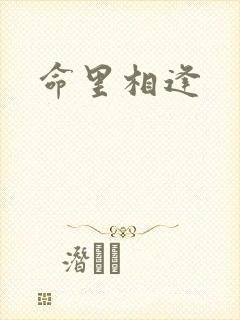 命里相逢封面