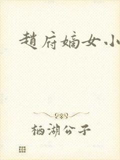 赵府嫡女小说