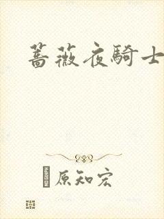 蔷薇夜骑士封面