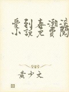 爱到春潮滚滚来小说免费阅读封面