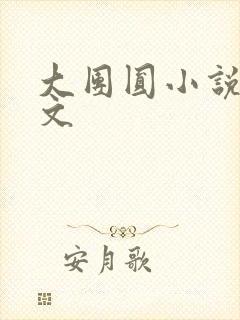 大团圆小说集全文封面