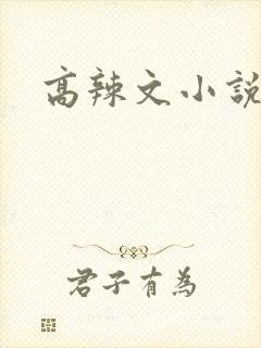 高辣文小说封面