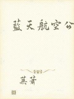 蓝天航空公司封面