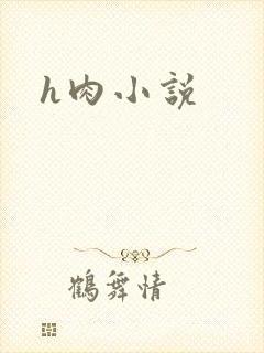h肉小说