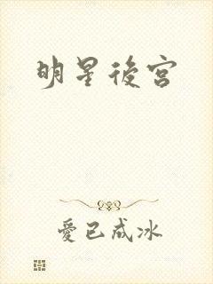 明星后宫封面