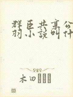 群臣共享公主银羽小说叫什么