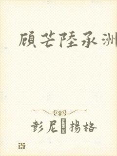 顾芒陆承洲