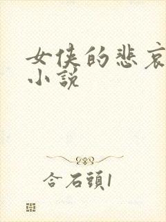 女侠的悲哀续集小说封面