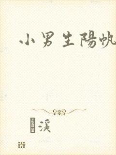 小男生阳帆